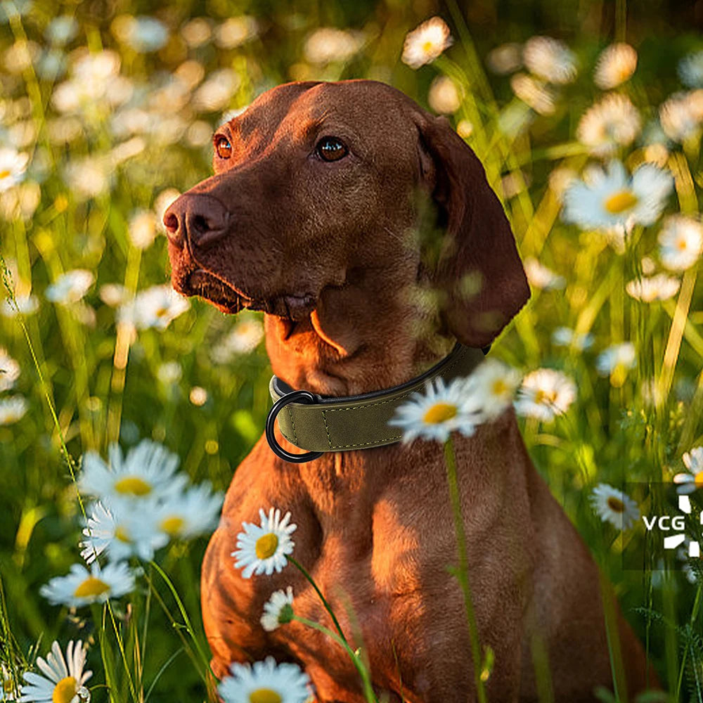 Round Leather Dog Collar