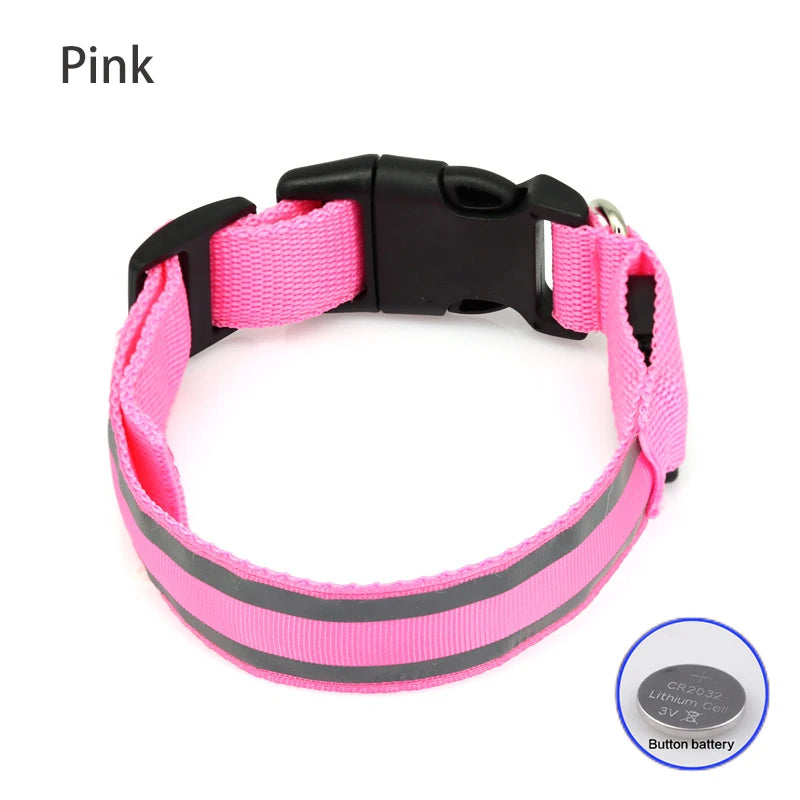 Dog Light Up Collar