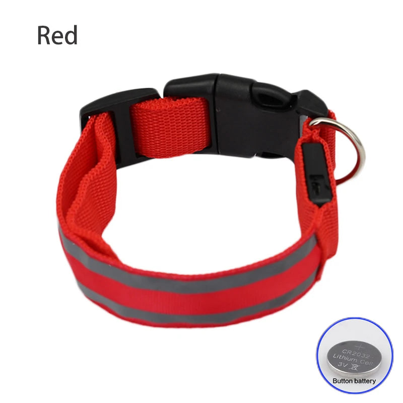 Dog Light Up Collar