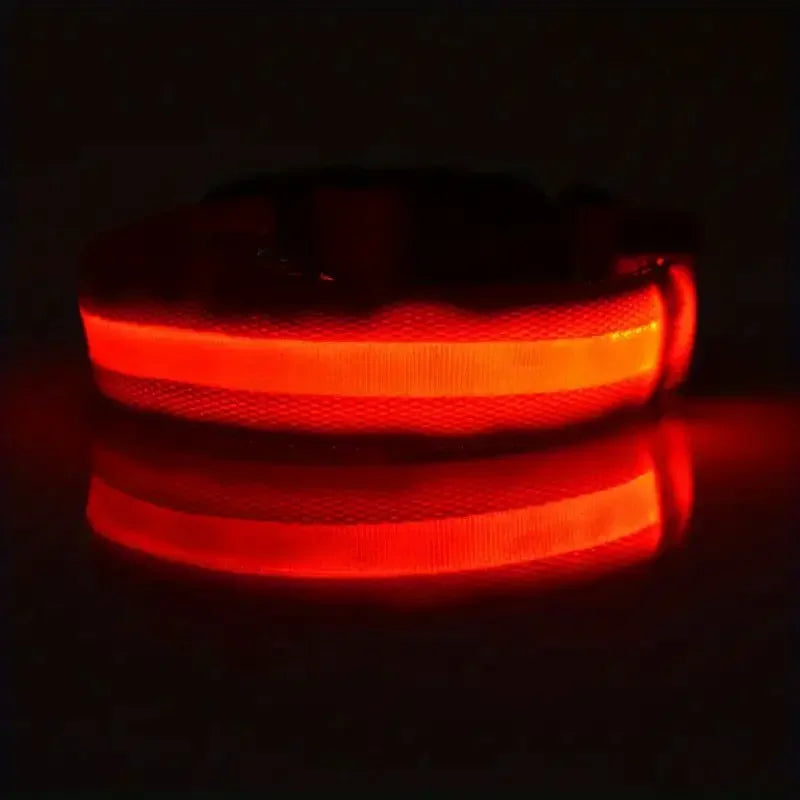 Lighted Dog Collar