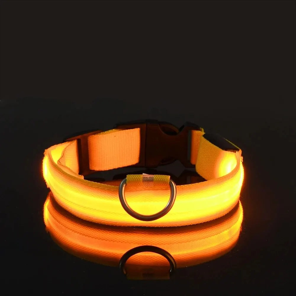 Lighted Dog Collar