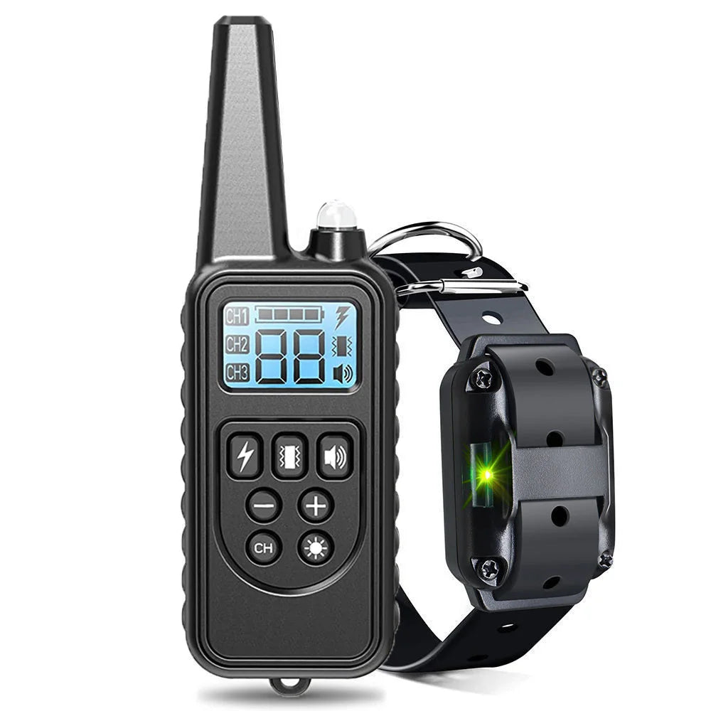 Training Shock Collar Dog