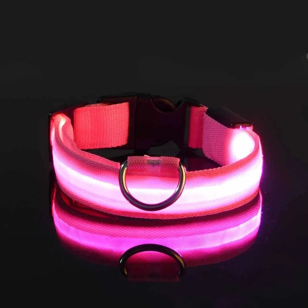 Lighted Dog Collar