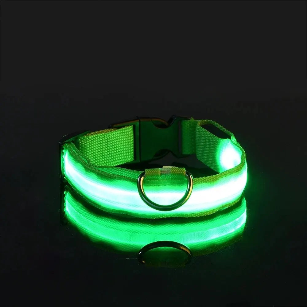 Lighted Dog Collar