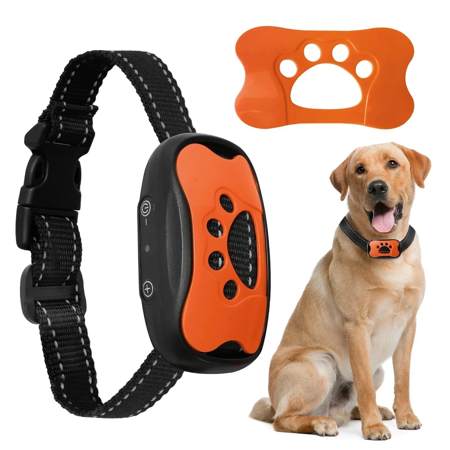 Remote Dog Training Collar