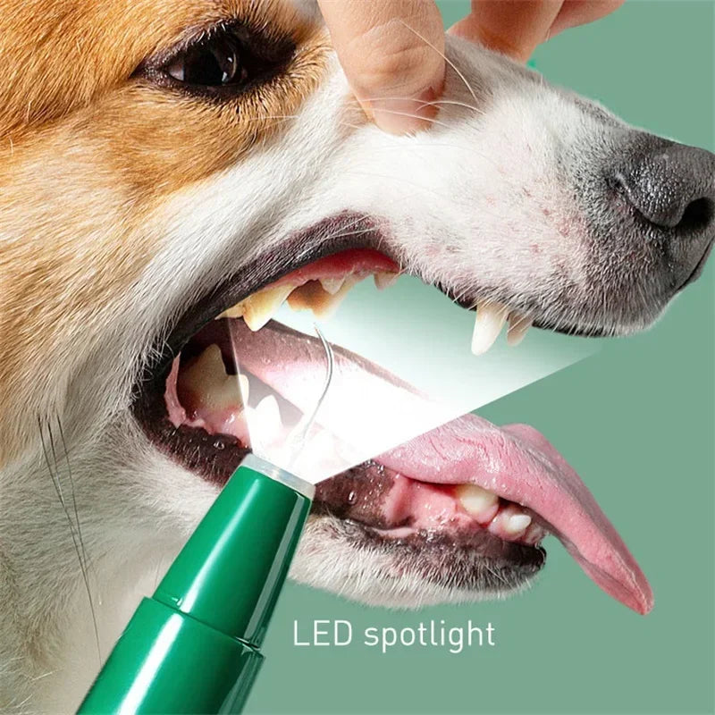 Electric Toothbrush For Dogs