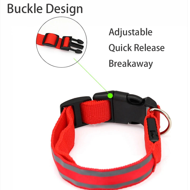 Dog Light Up Collar