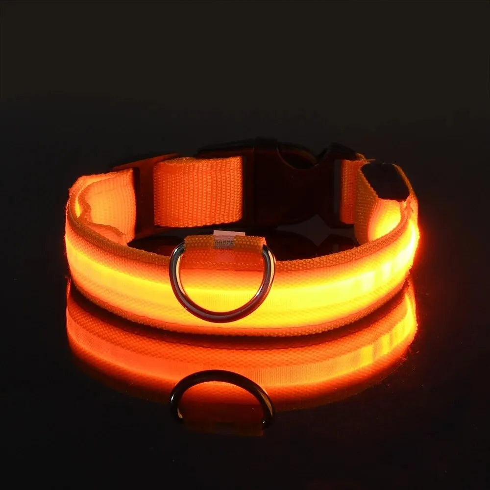 Lighted Dog Collar