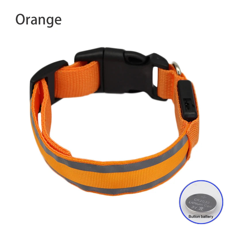 Dog Light Up Collar