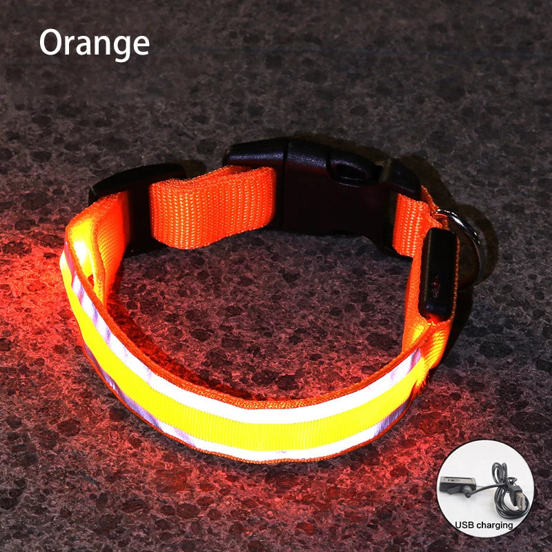 Dog Light Up Collar