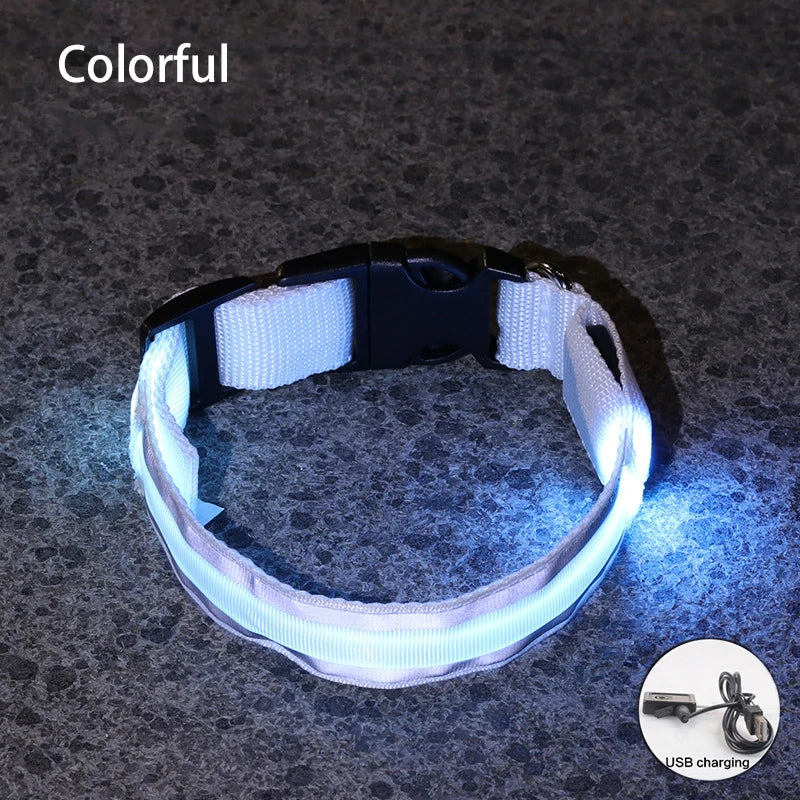 Dog Light Up Collar