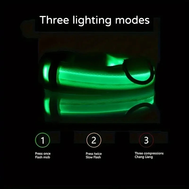 Lighted Dog Collar
