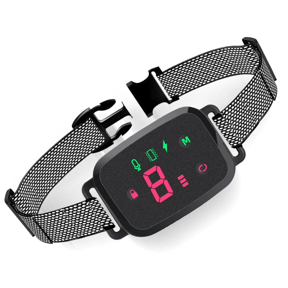 Bark Collar Dog Training