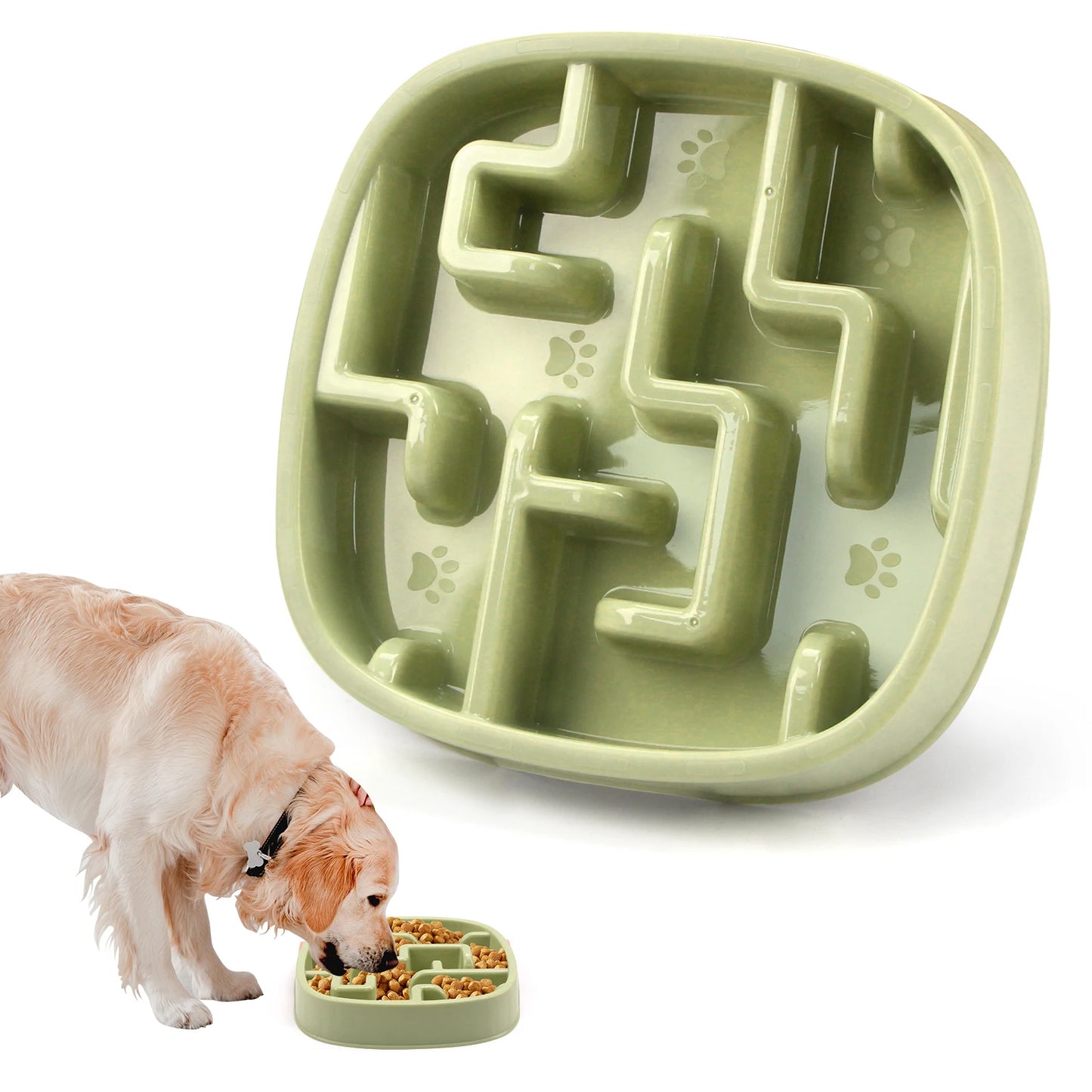 Slow Dog Feeder Bowl
