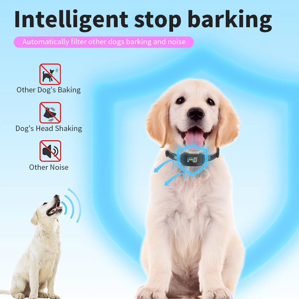 Dog Training Collar