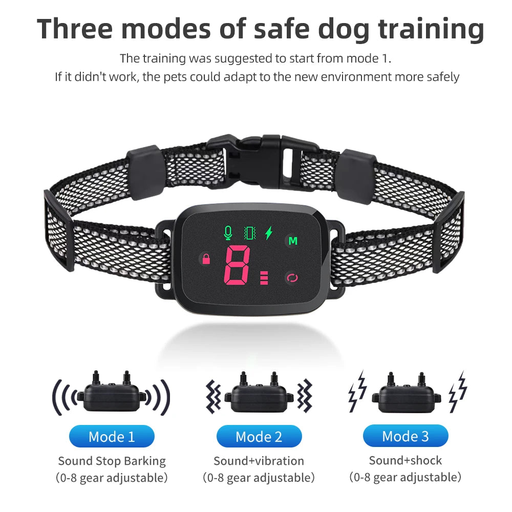 Bark Collar Dog Training