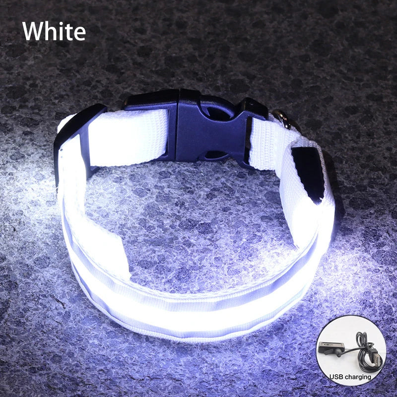 Dog Light Up Collar