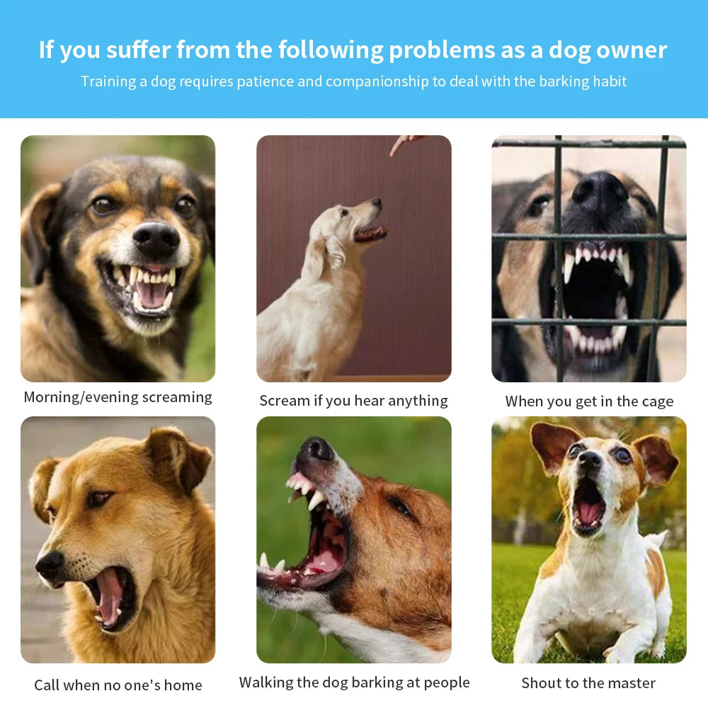 Dog Training Collar