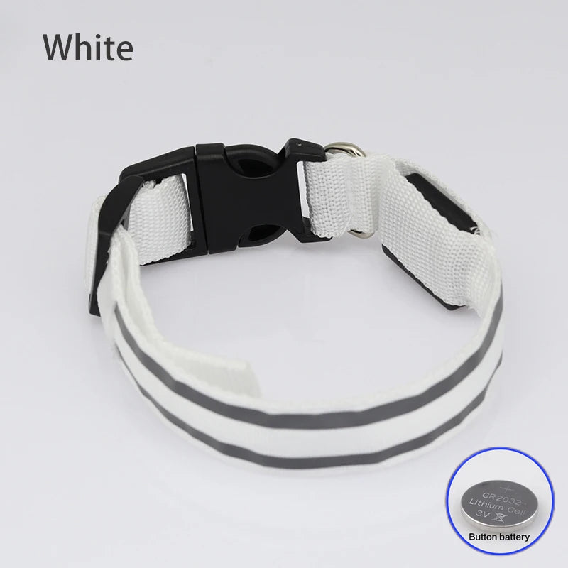 Dog Light Up Collar