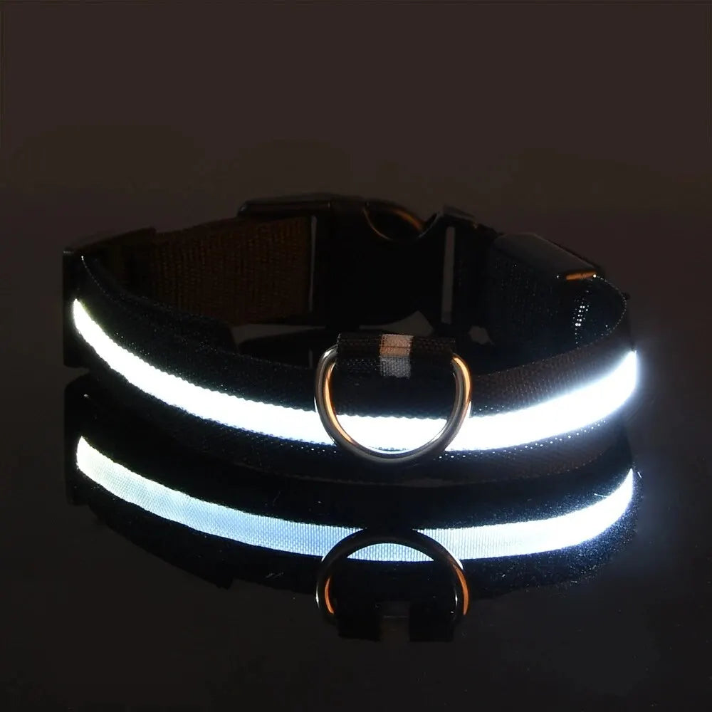 Lighted Dog Collar