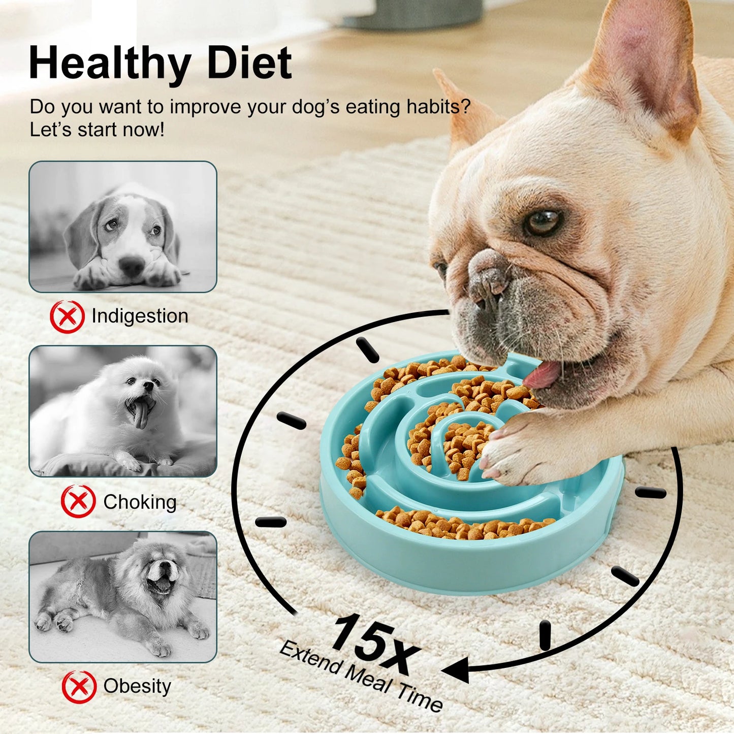 Slow Dog Feeder Bowl