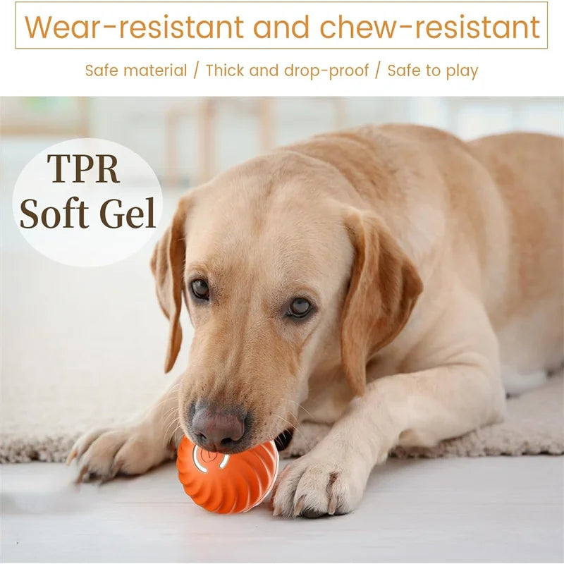 Smart Ball For Dogs