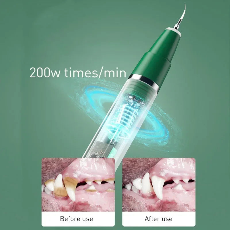 Electric Toothbrush For Dogs