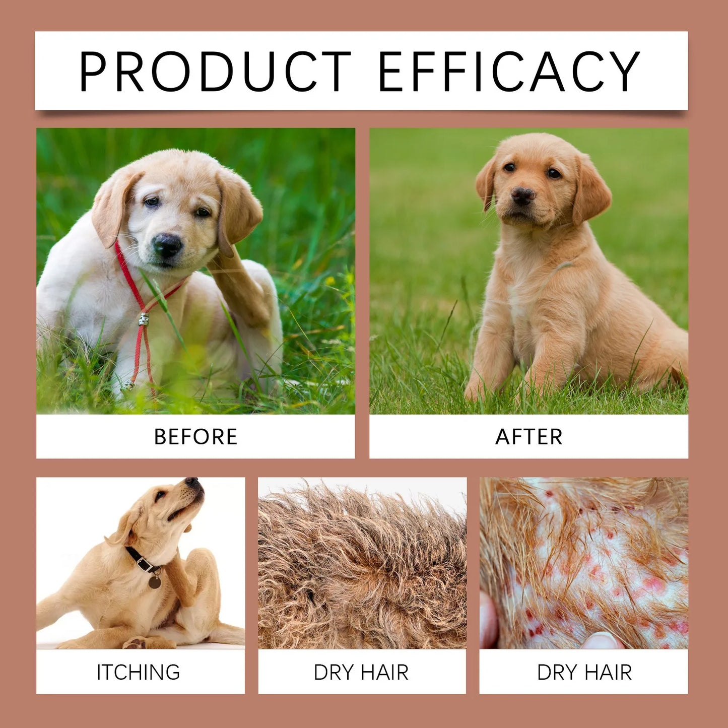 Flea Shampoo For Dogs