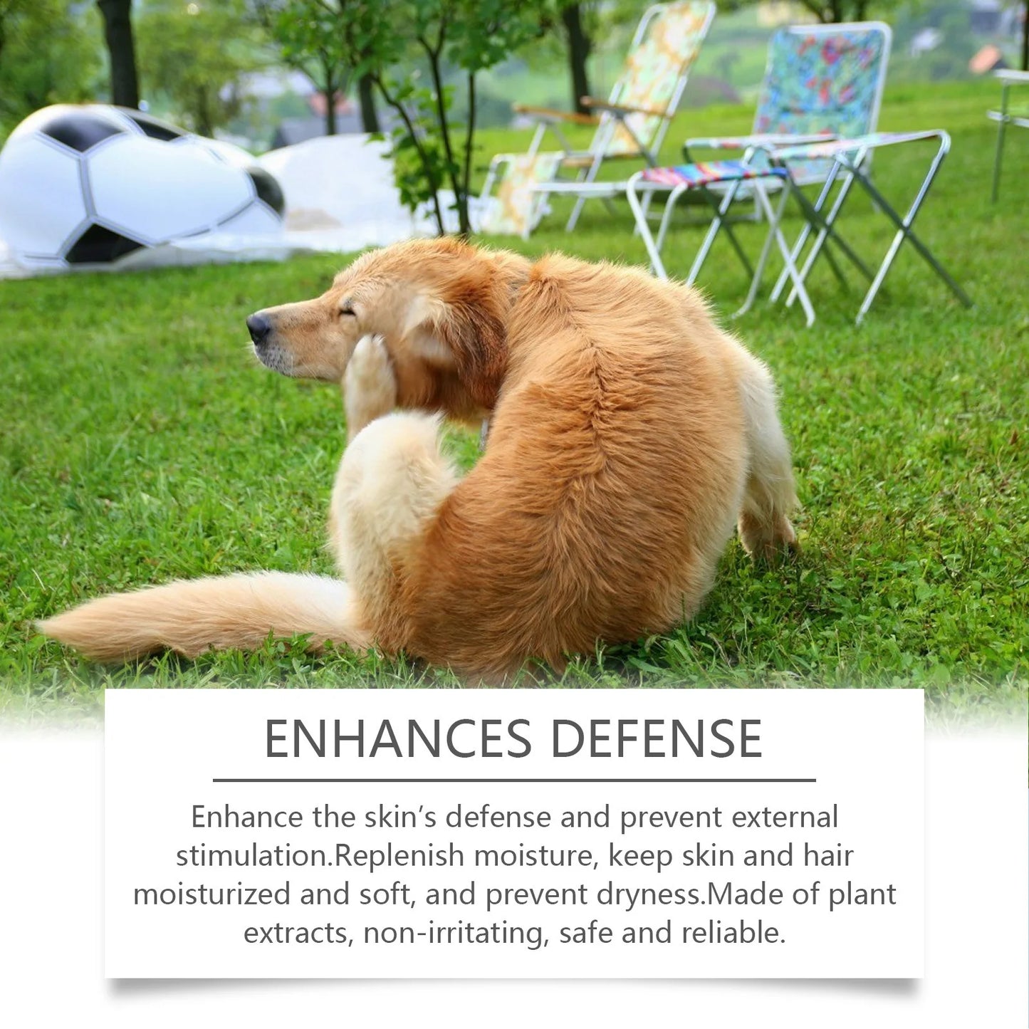 Flea Shampoo For Dogs
