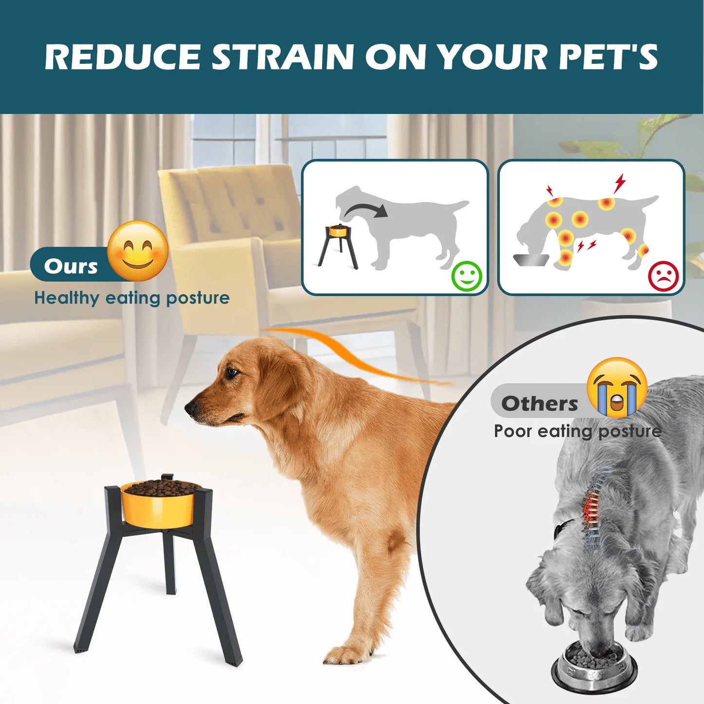 Elevated Stainless Steel Dog Bowl