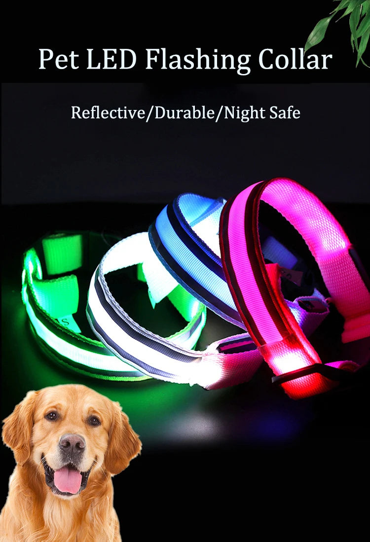 Dog Light Up Collar
