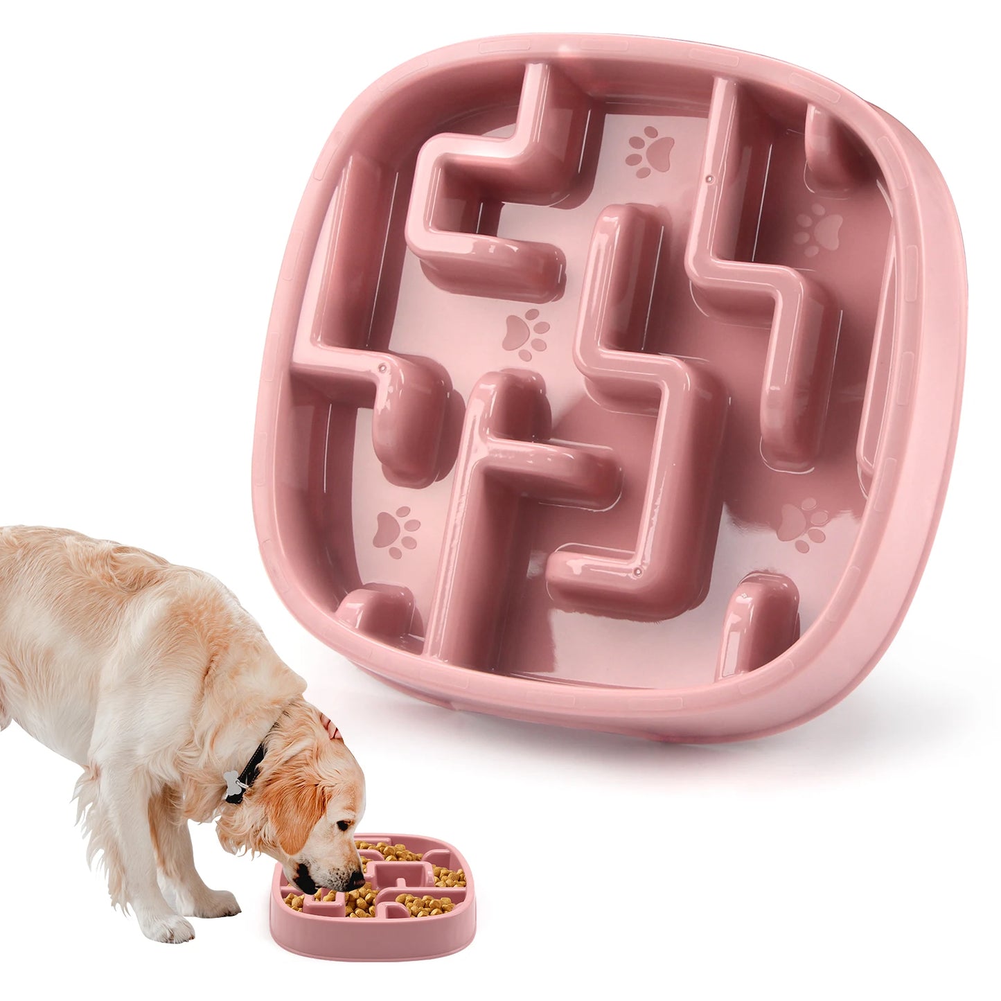 Slow Dog Feeder Bowl