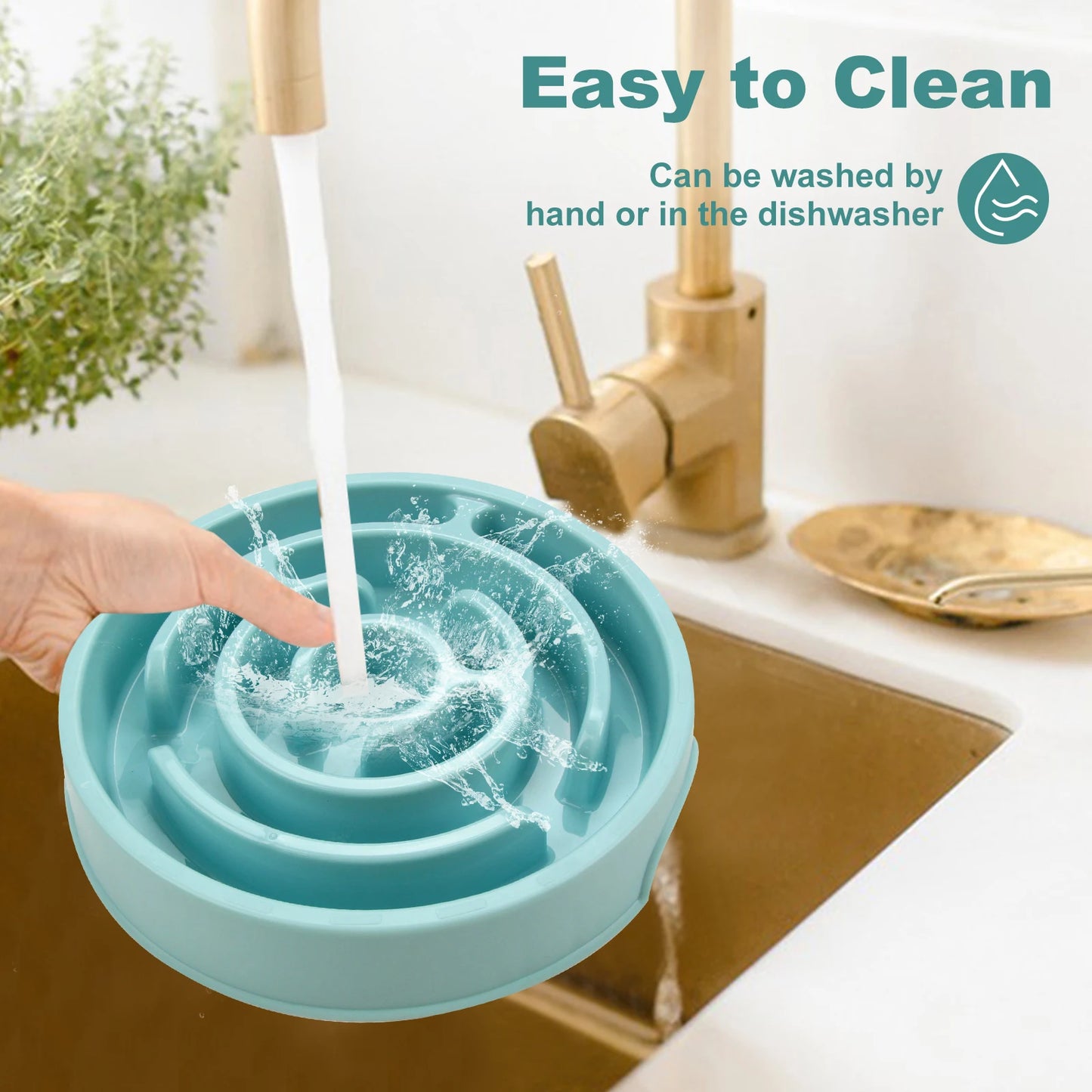 Slow Dog Feeder Bowl