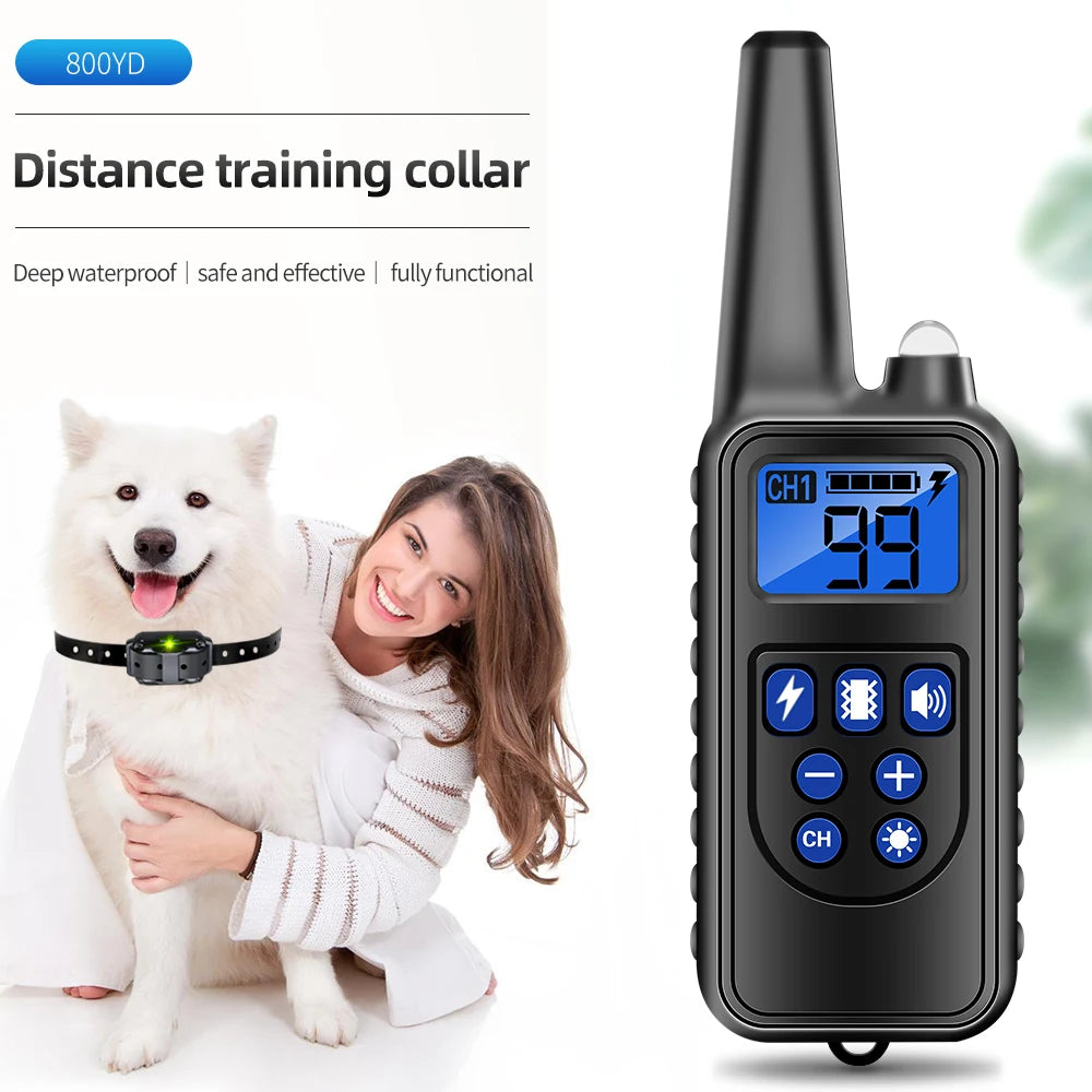 Training Shock Collar Dog