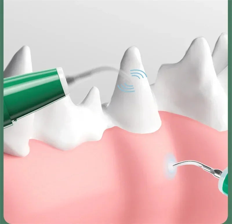 Electric Toothbrush For Dogs