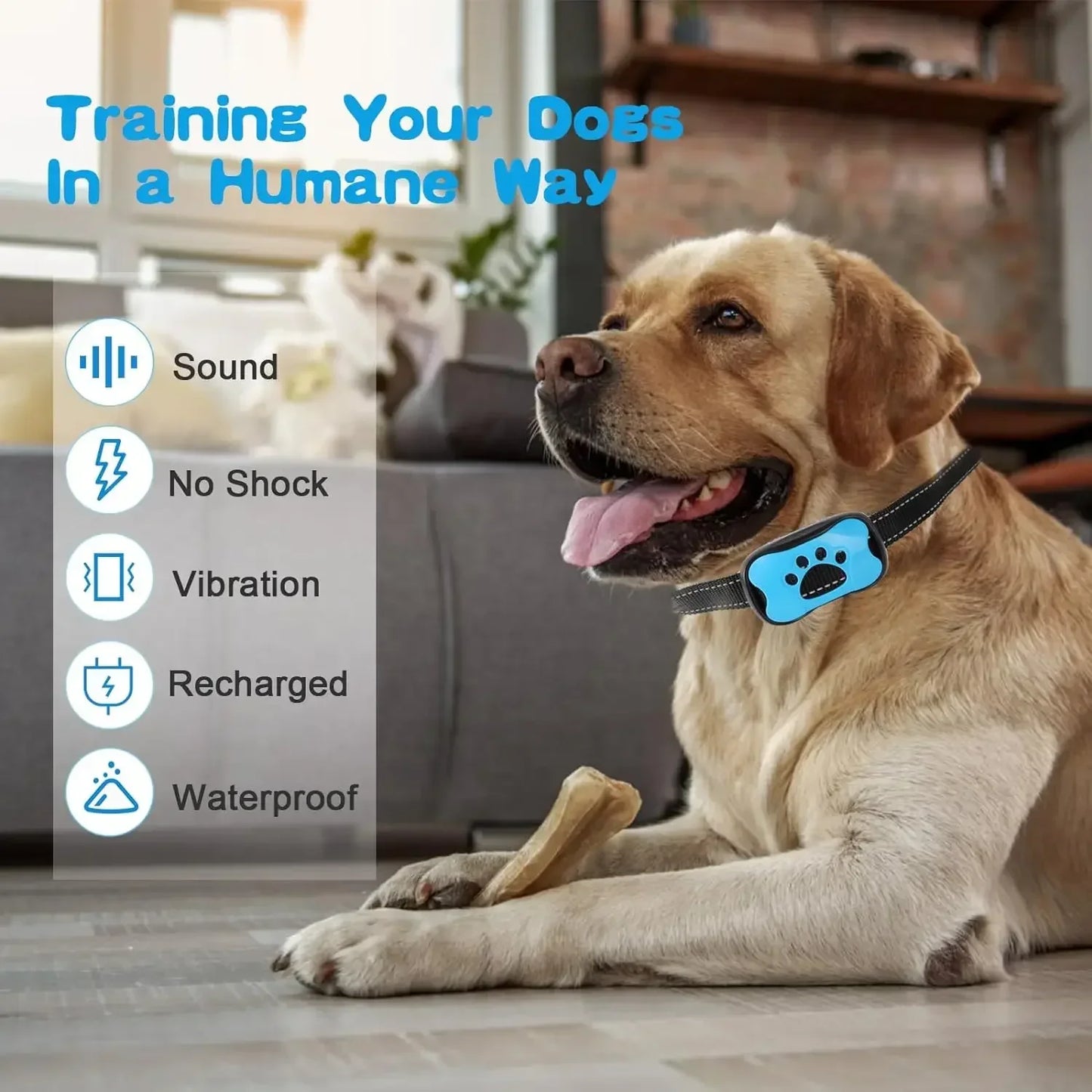 Remote Dog Training Collar