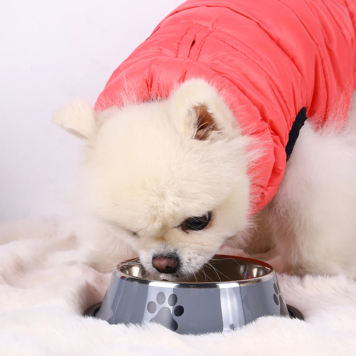 Stainless Steel Slow Feeder Dog Bowl