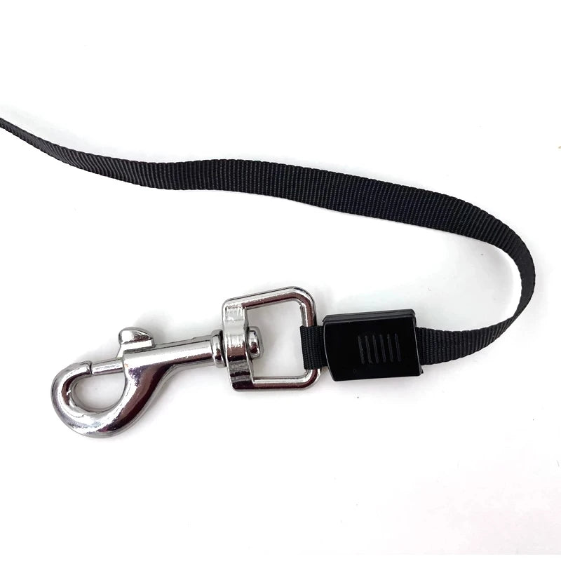 Retractable Dog Leash For Large Dogs