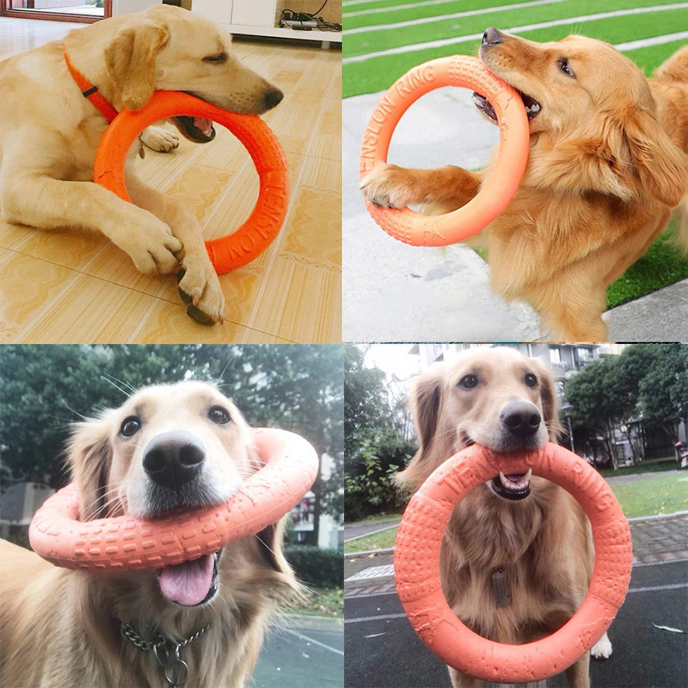 Indestructible Dog Chew Toys
