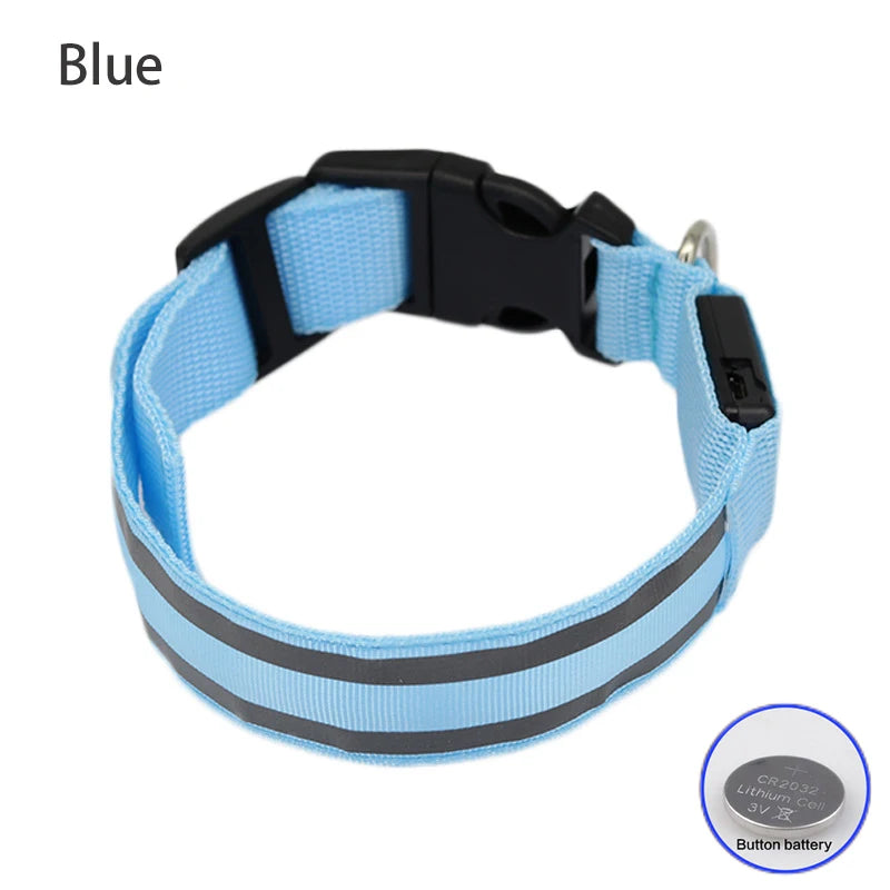 Dog Light Up Collar