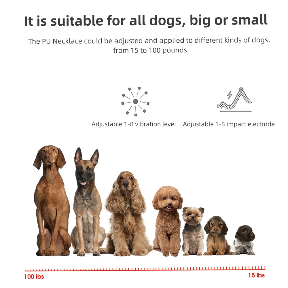 Bark Collar Dog Training