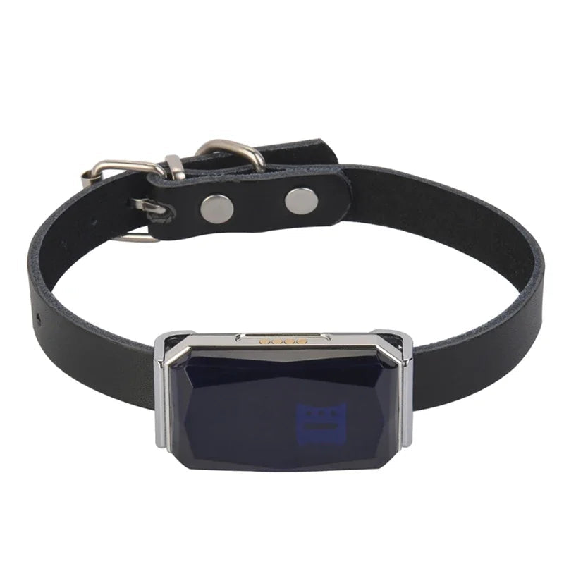 Gps Dog Collar Fence