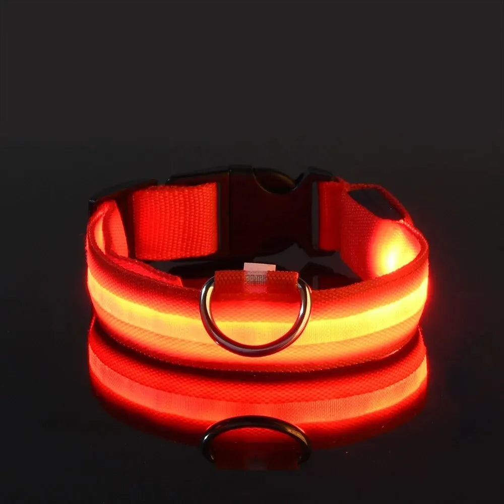 Lighted Dog Collar