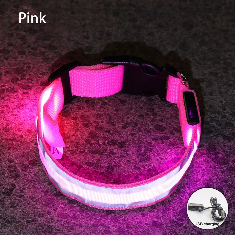 Dog Light Up Collar