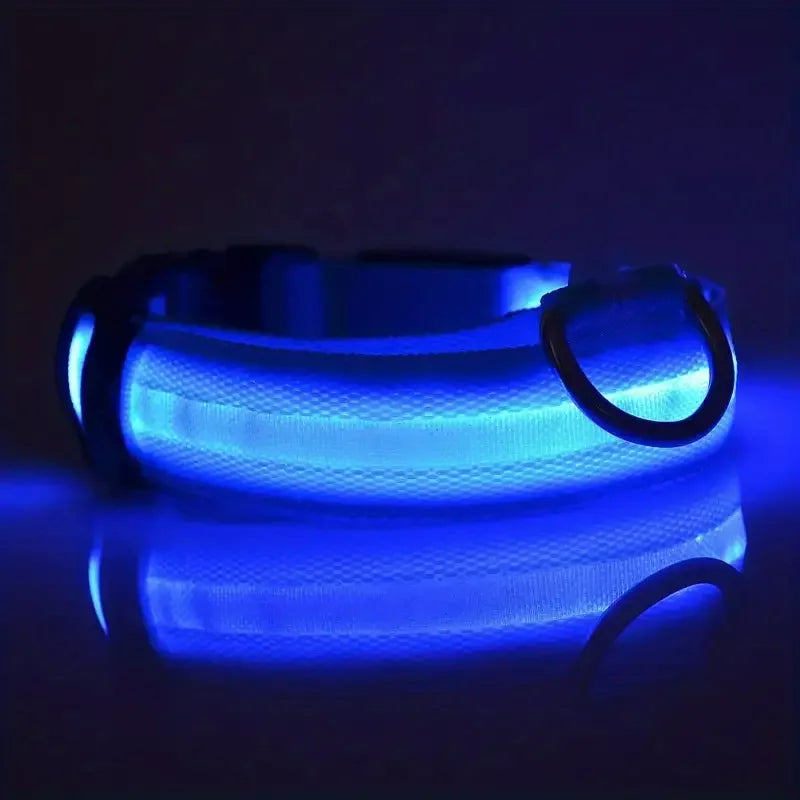 Lighted Dog Collar