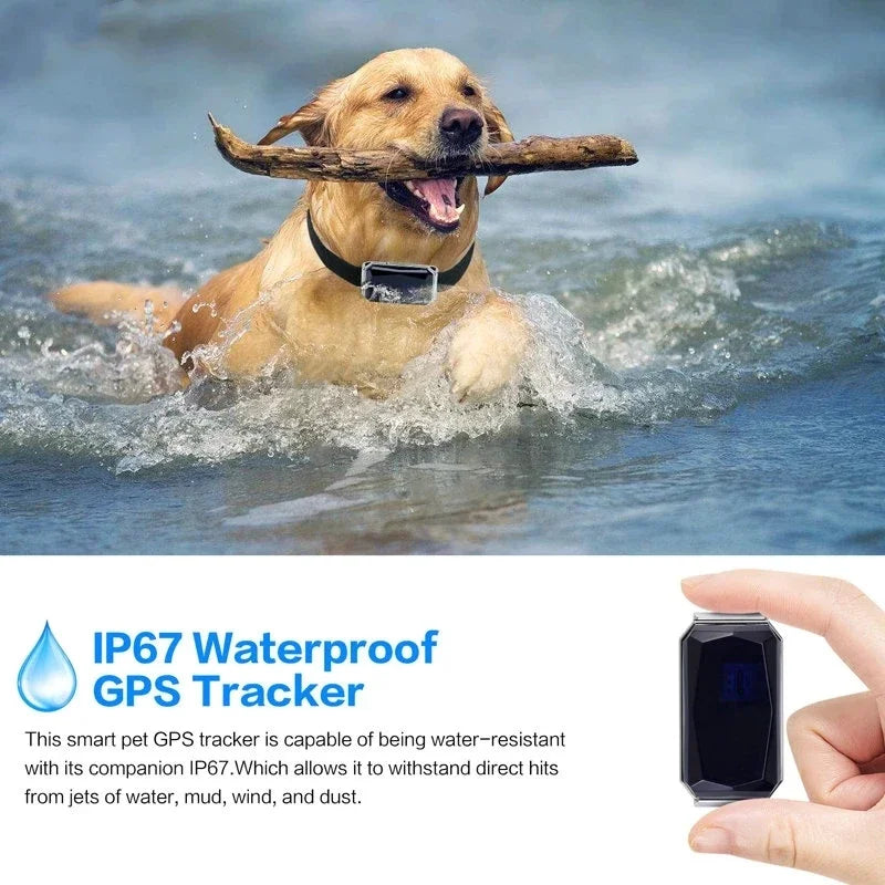Gps Dog Collar Fence