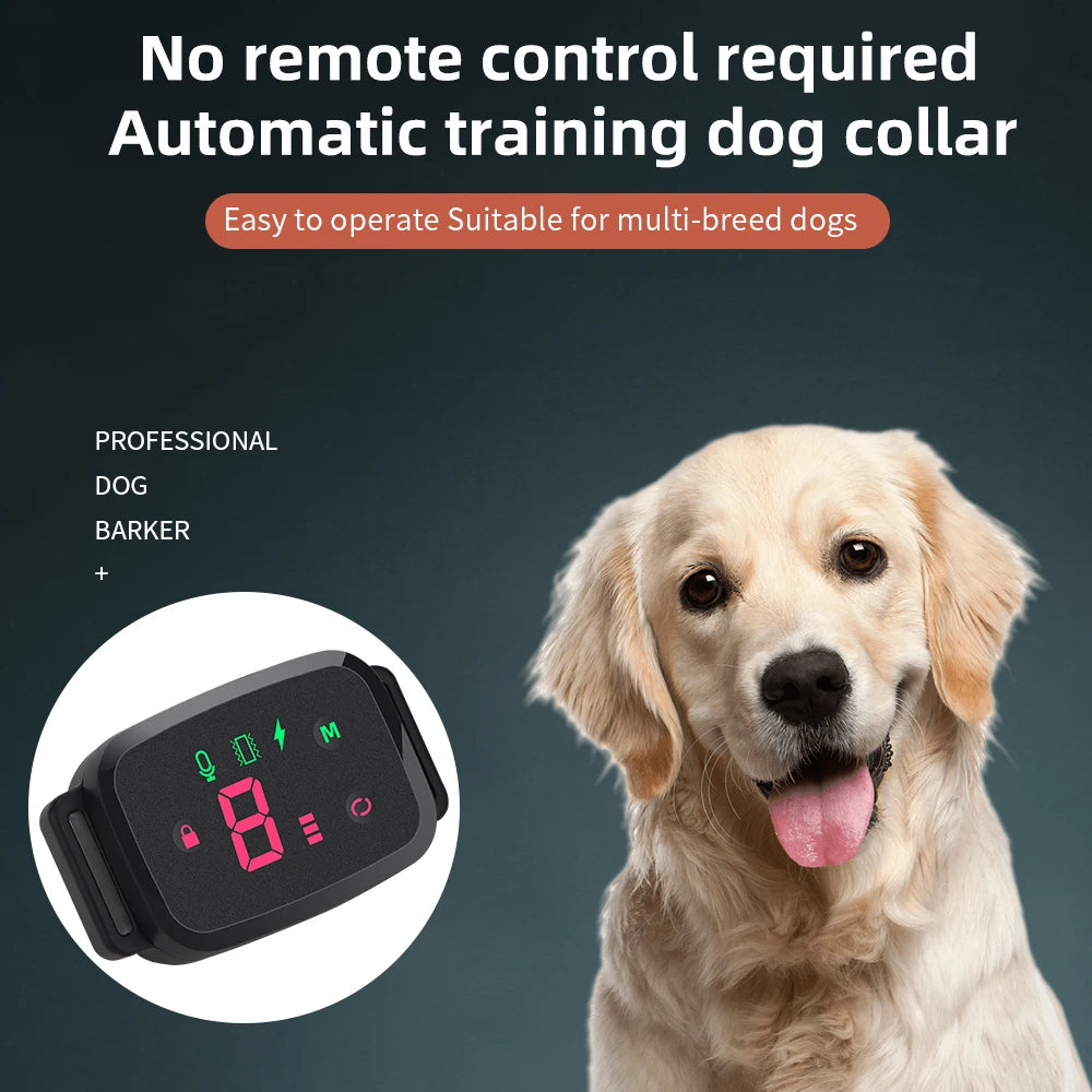 Bark Collar Dog Training