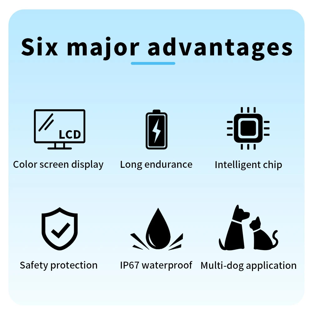 Dog Training Collar