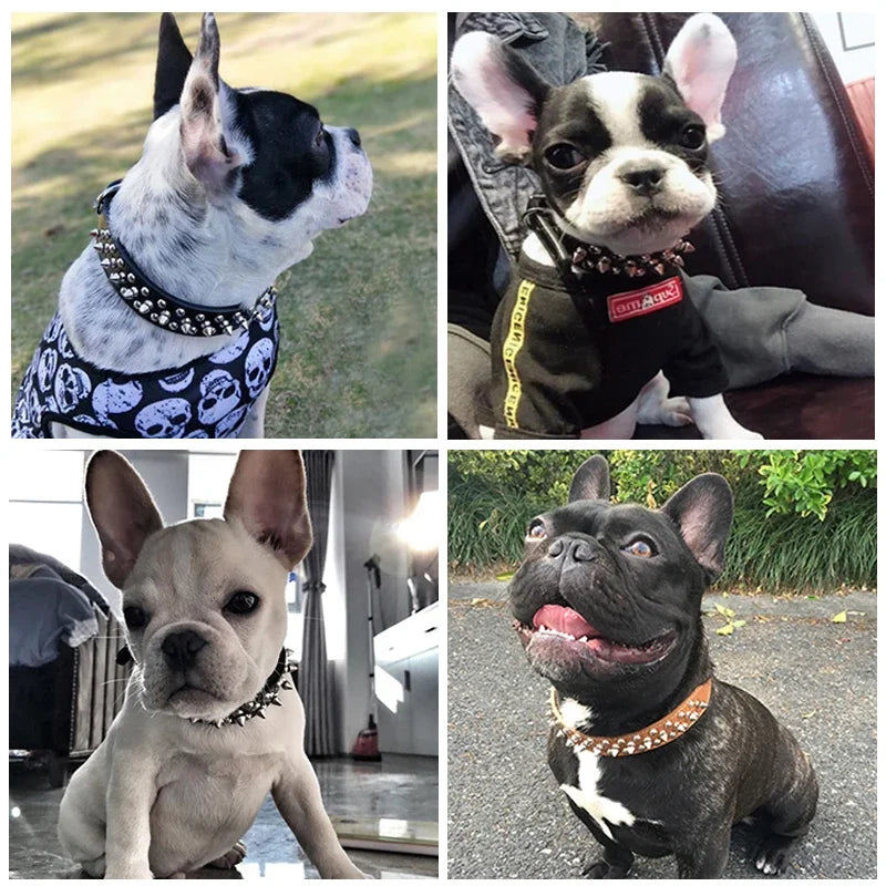 Collar For Dogs With Spikes