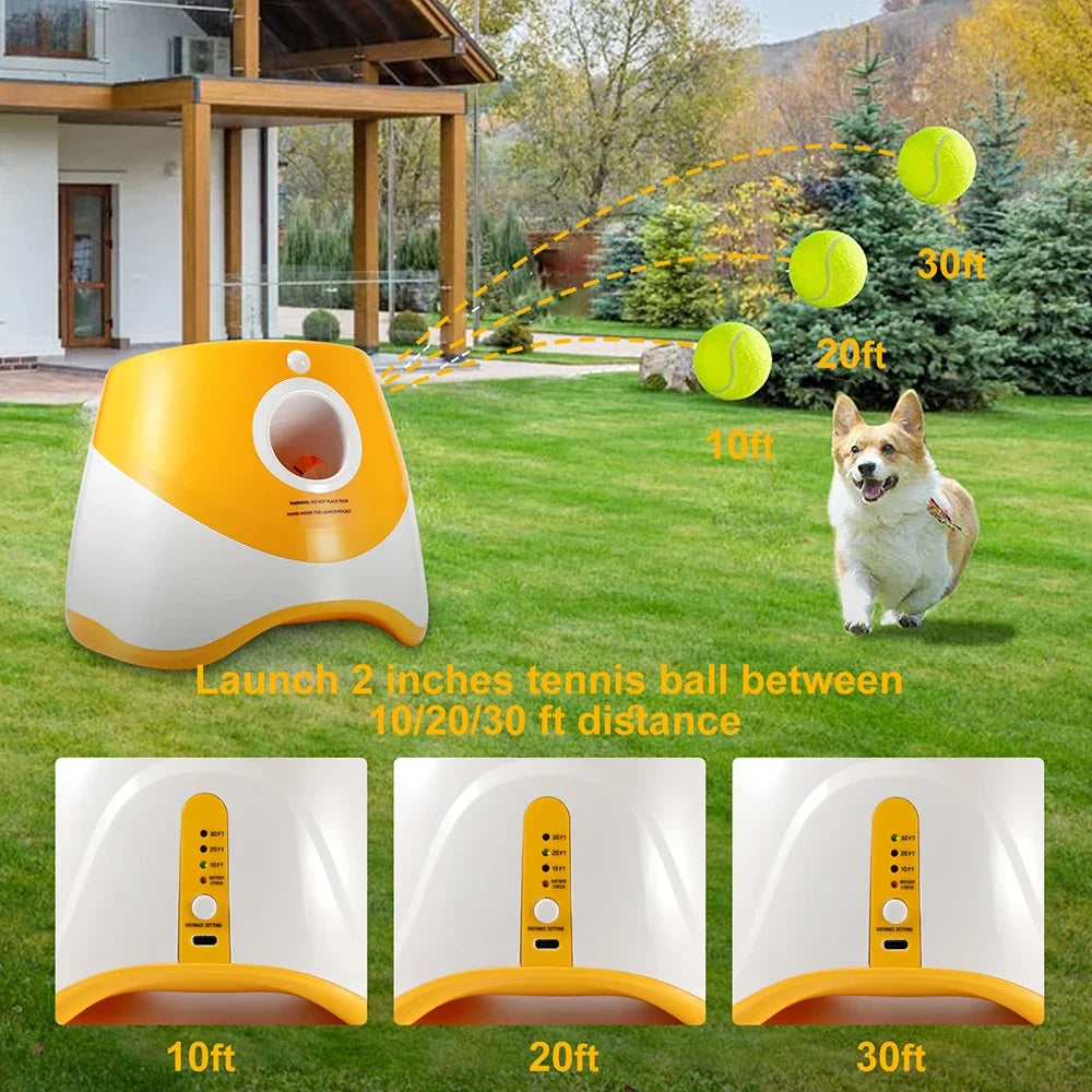 Automatic Ball Launcher Dog
